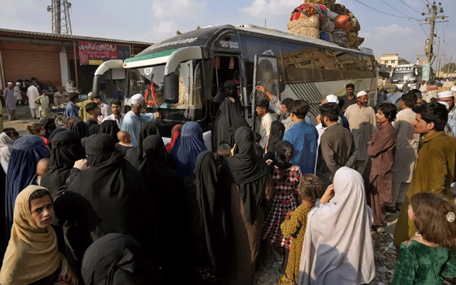 غیرقانونی مقیم غیرملکیوں کے انخلا کی مہم میں تیزی، 12 ہزار 945 افراد ڈی پورٹ
