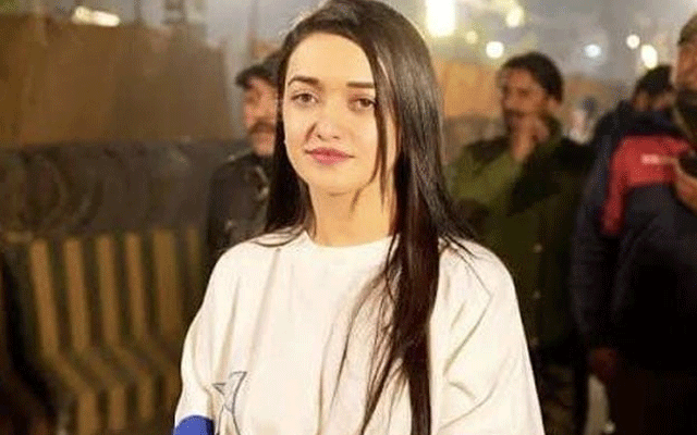 پی ٹی آئی سوشل میڈیا ایکٹیوسٹ صنم جاوید کی مشکلات میں مزید  اضافہ