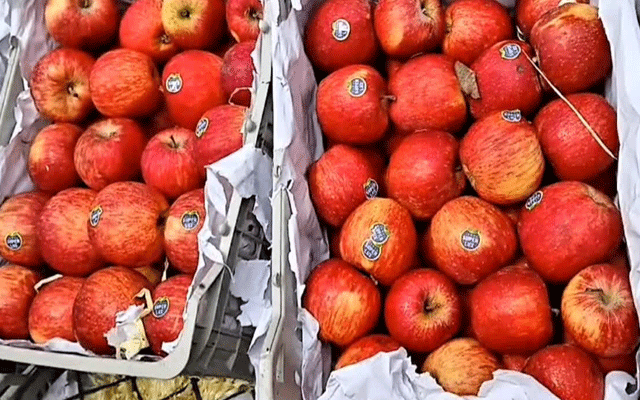  ترکیہ کے پاکستان کی حمایت پر بھارت سیخ پا، ترک سیبوں کے بائیکاٹ کی مہم شروع