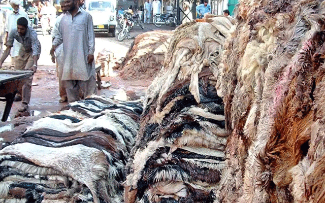 سنتِ ابراہیمی کی ادائیگی، کھالوں کے حوالے سے پولیس کی اہم ایڈوائزری جاری