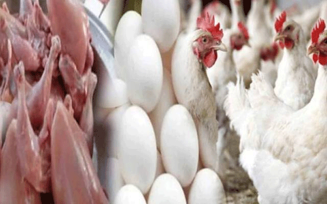 محرم الحرام میں چکن کی مانگ میں اضافہ