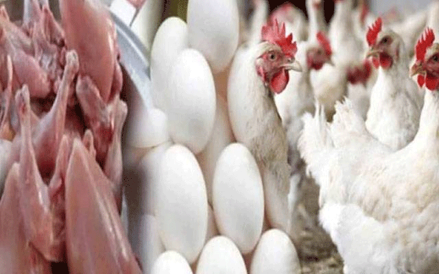 برائلر مرغی کے گوشت کی قیمت میں مزید اضافہ