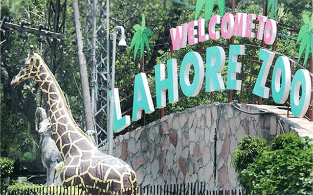 لاہور چڑیا گھر میں تفریحی سہولیات پر 50 فیصد ڈسکاؤنٹ