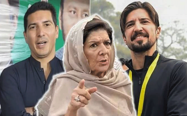 بیٹوں کی گرفتاری پر علیمہ خان کا دو ٹوک بیان