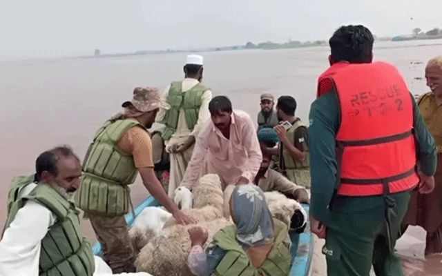 پنجاب حکومت کاسیلاب متاثرہ علاقوں میں مزیدسروےعملہ بھرتی کرنے کافیصلہ