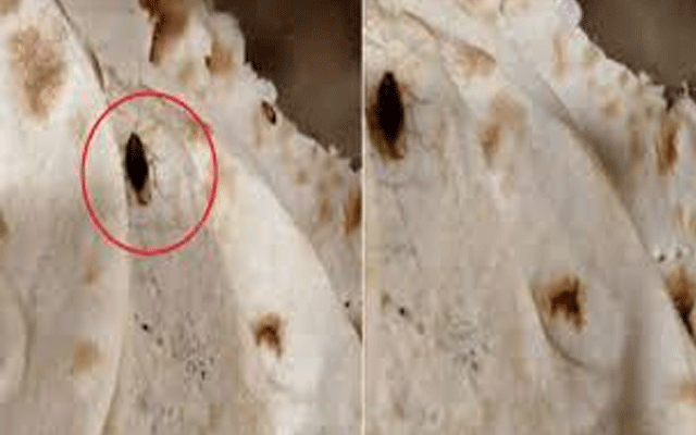 ویمن کاکس اجلاس میں کھانے سے کاکروچ نکل آیا، ارکان اسمبلی برہم