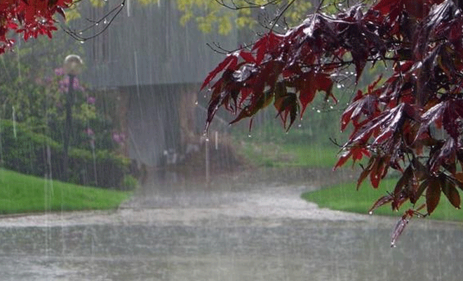  تیز ہواؤں اور گرج چمک کے ساتھ بارش ،الرٹ جاری
