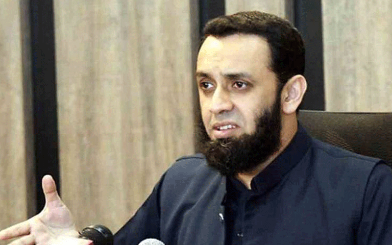 پی ٹی آئی دور حکومت میں اہم فیصلے بشریٰ بی بی کرتی تھیں، عطا تارڑ  