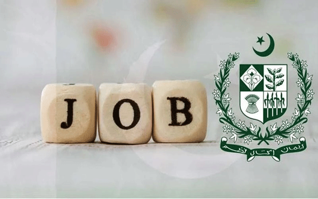 آئندہ 5 سے 7 سال میں 95 ہزار سے زائد روزگار کے مواقع پیدا ہونے کا امکان