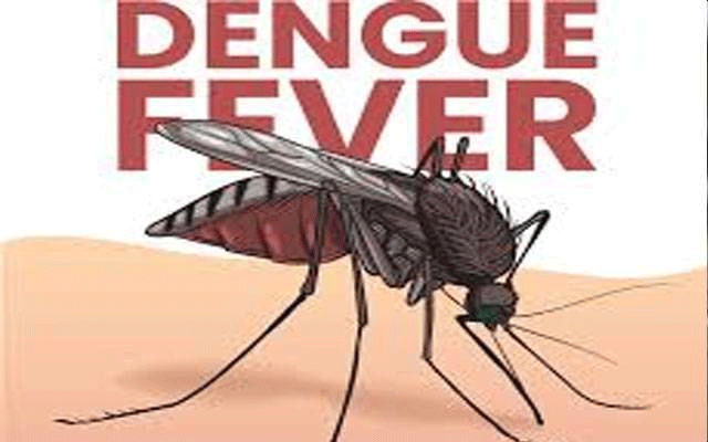 شہرِ قائد میں ڈینگی کے وار ، سرکاری و نجی ہسپتالوں میں نئے کیسز رپورٹ 
