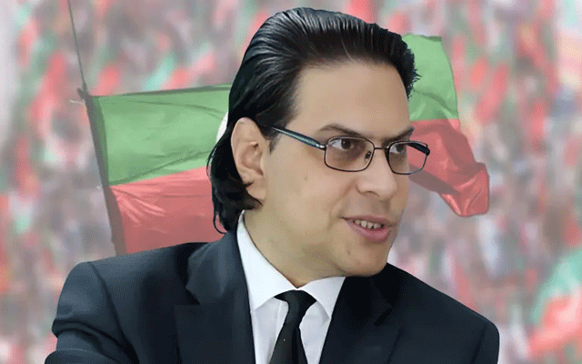 عقلمندی یہی ہے کہ بات چیت کی جائے، پاکستان کا نقصان نہیں چاہتے: سلمان اکرم راجہ