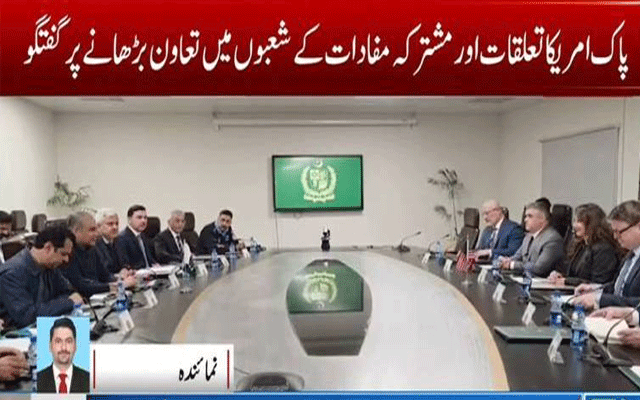 محسن نقوی کی امریکی سفیر نیٹلی بیکر سے ملاقات، سکیورٹی تعاون بڑھانے پر اتفاق