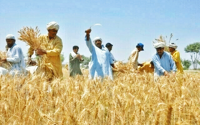 کسانوں کا ملک گیر احتجاج کا اعلان گند م کی قیمت 4 ہزار مقرر کرنے کا مطالبہ 