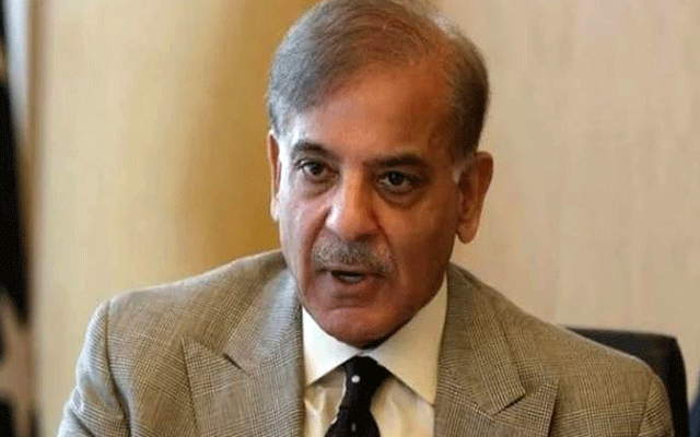  شہباز شریف کا ترقیاتی منصوبوں میں پبلک پرائیویٹ پارٹنر شپ کے ذریعے تیزی لانے کا حکم